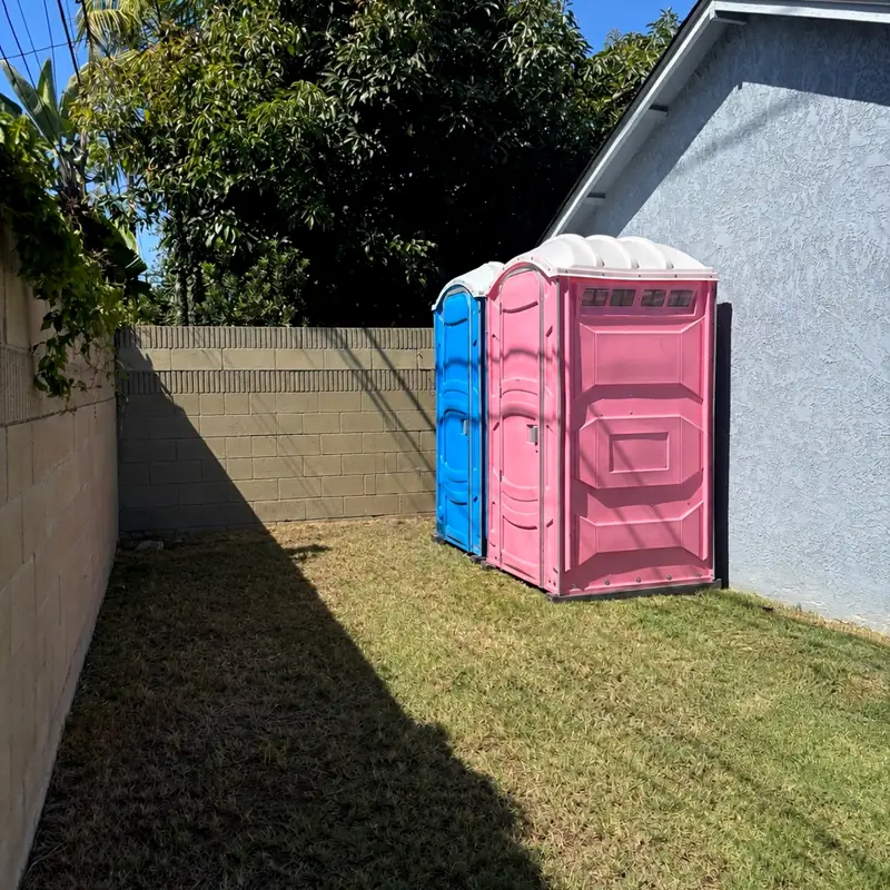 Blue and pink porta potties on a side lawn next to a house